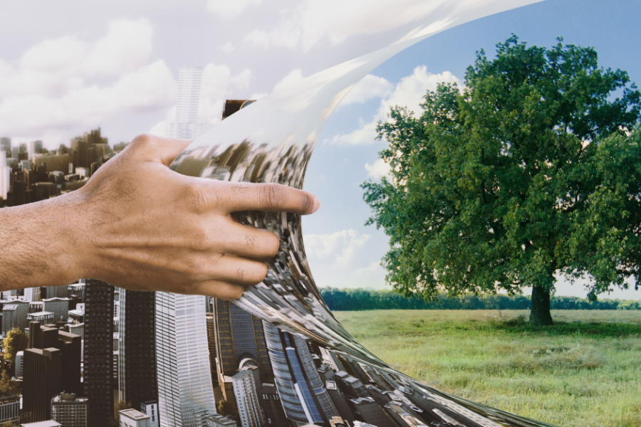 Bilancio di sostenibilità