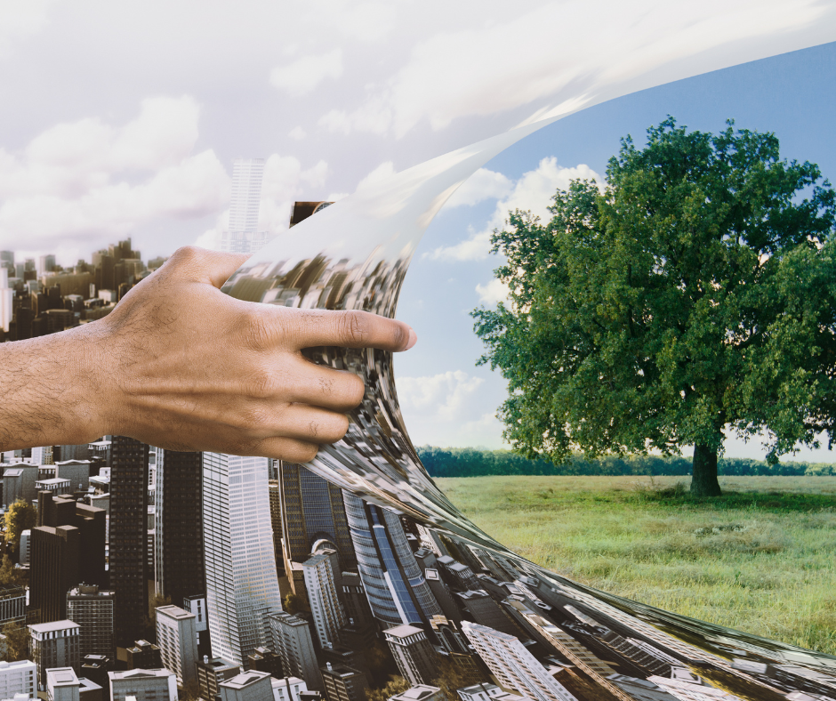 Il Bilancio di Sostenibilità