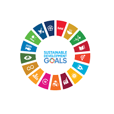 Cosa sono gli SDGs – Sustainable Development Goals?